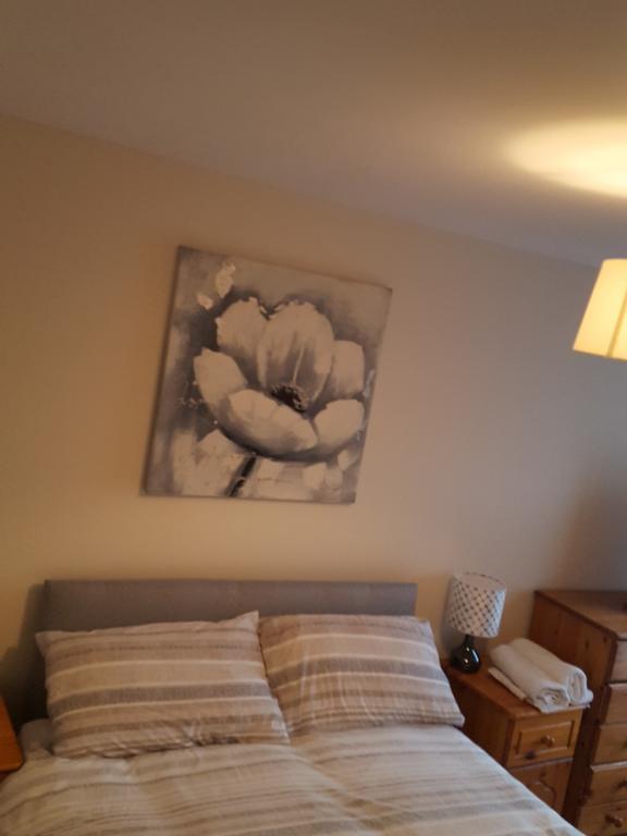 Castleton Gardens Apartments Belfast Buitenkant foto